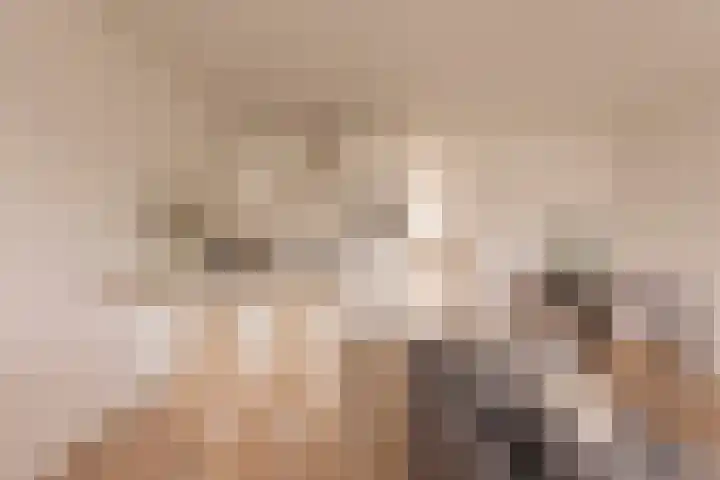 Tweede Jan van der Heijdenstraat 33 H Amsterdam thumbnail 9