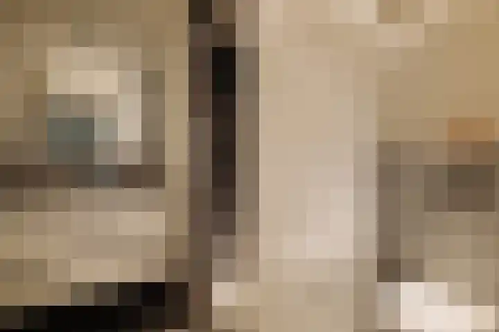 Tweede Jan van der Heijdenstraat 36 H Amsterdam thumbnail 25