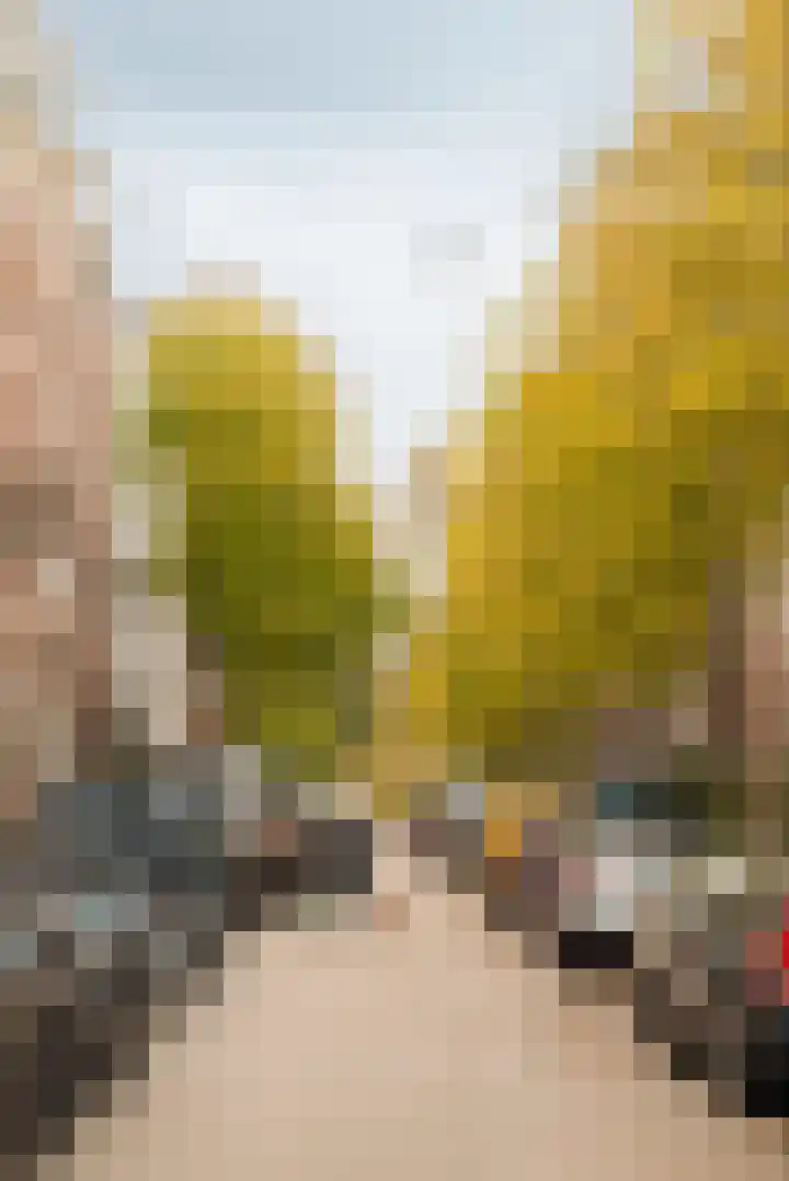 Tweede Jan van der Heijdenstraat 36 H Amsterdam thumbnail 28