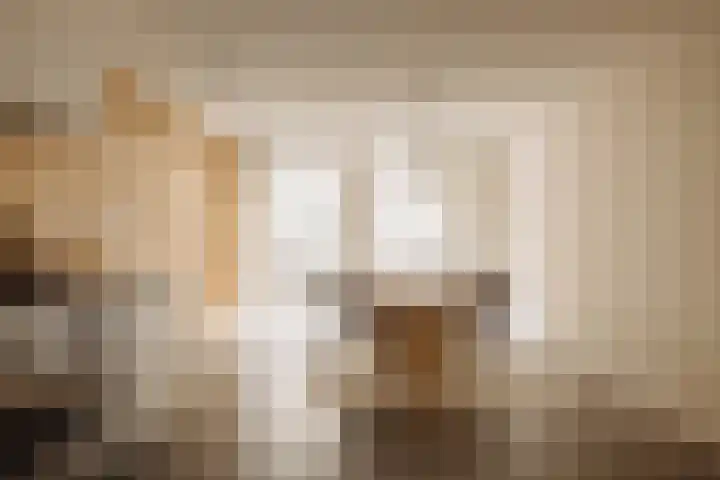 Tweede Jan van der Heijdenstraat 36 H Amsterdam thumbnail 6