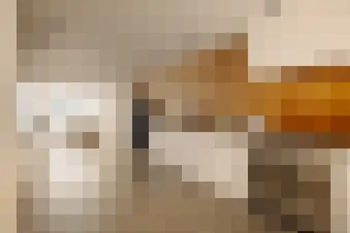 Tweede Jan van der Heijdenstraat 36 H Amsterdam thumbnail 7