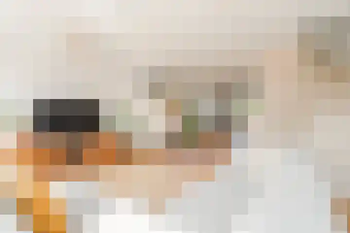 Tweede Jan van der Heijdenstraat 45 3 Amsterdam thumbnail 11