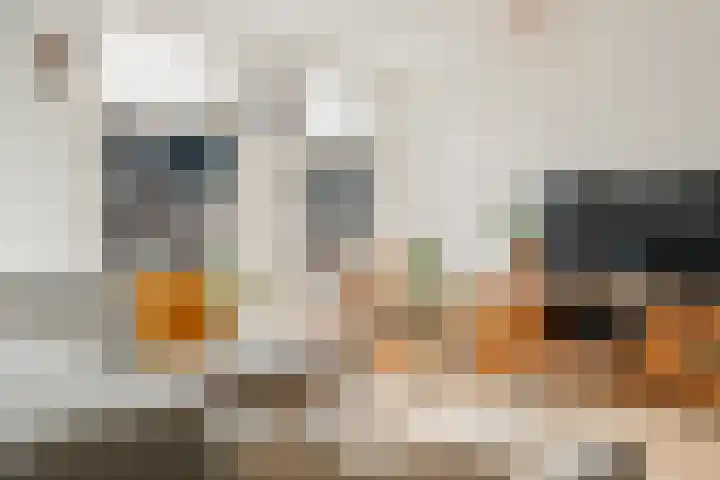 Tweede Jan van der Heijdenstraat 45 3 Amsterdam thumbnail 13