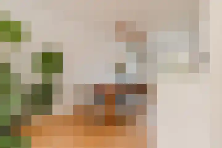Tweede Jan van der Heijdenstraat 45 3 Amsterdam thumbnail 14