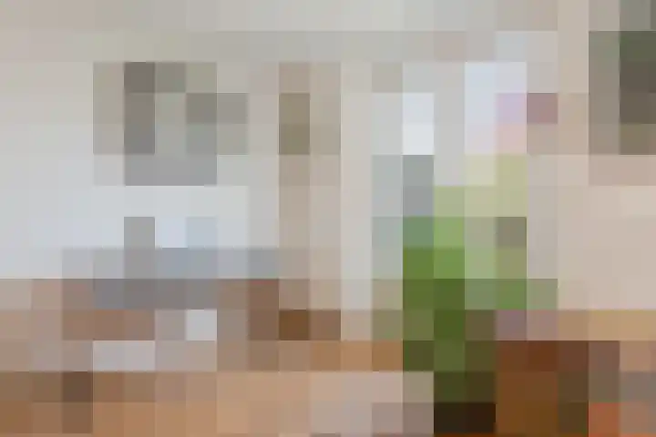 Tweede Jan van der Heijdenstraat 45 3 Amsterdam thumbnail 17