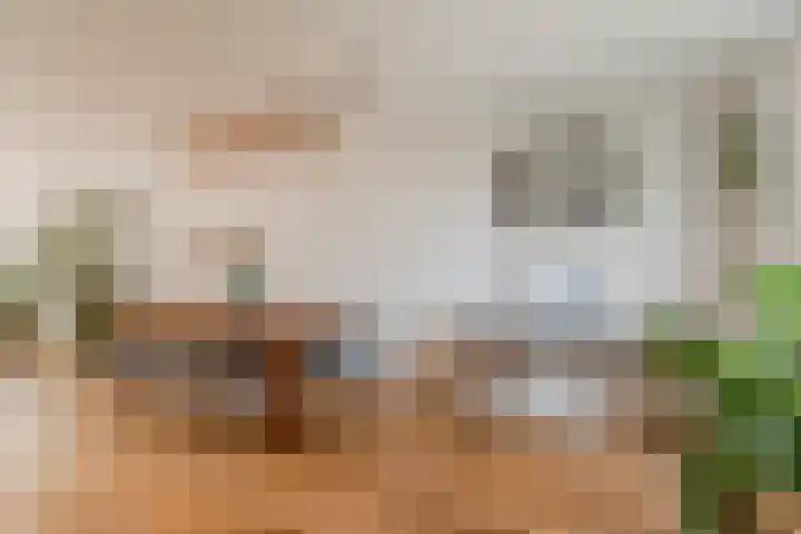 Tweede Jan van der Heijdenstraat 45 3 Amsterdam thumbnail 18