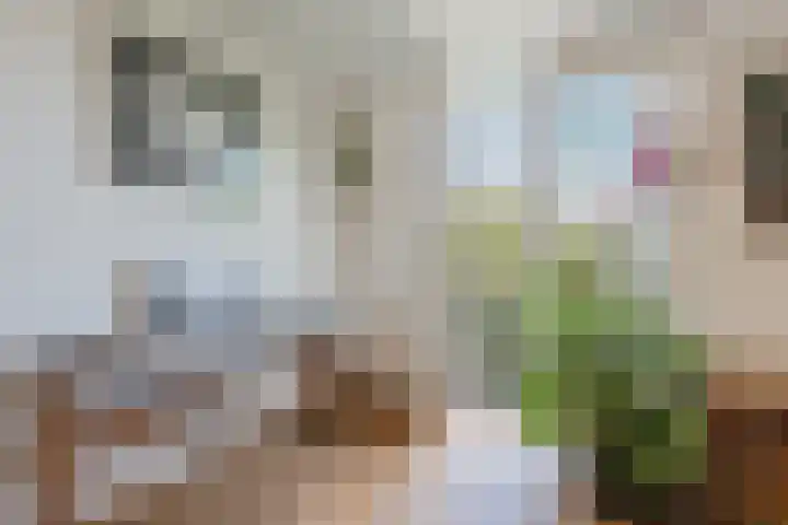 Tweede Jan van der Heijdenstraat 45 3 Amsterdam thumbnail 25