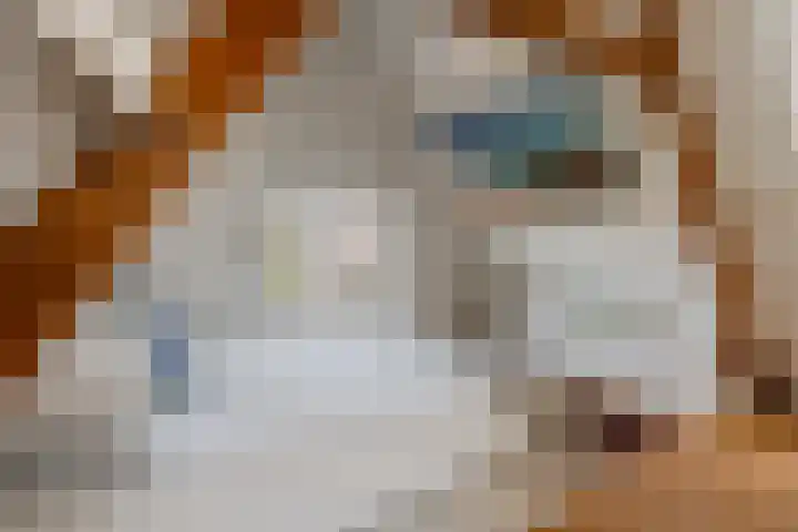 Tweede Jan van der Heijdenstraat 45 3 Amsterdam thumbnail 30
