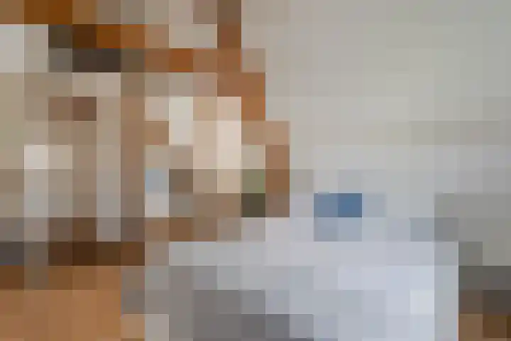 Tweede Jan van der Heijdenstraat 45 3 Amsterdam thumbnail 31