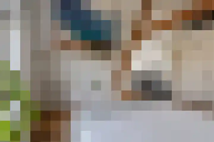 Tweede Jan van der Heijdenstraat 45 3 Amsterdam thumbnail 32