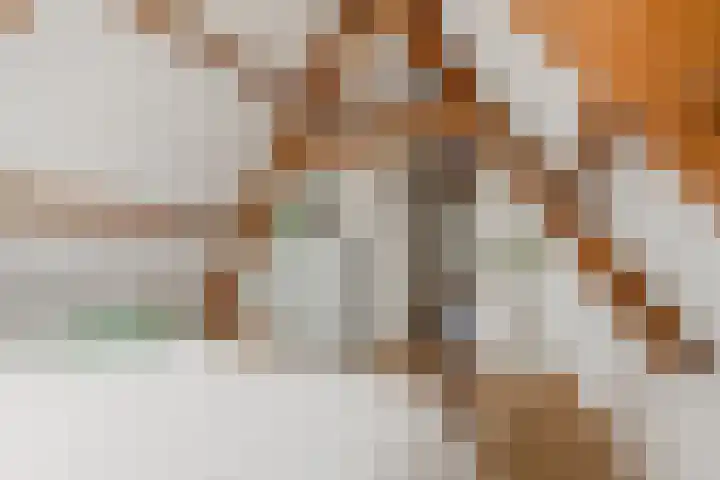Tweede Jan van der Heijdenstraat 45 3 Amsterdam thumbnail 36
