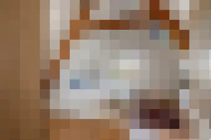 Tweede Jan van der Heijdenstraat 45 3 Amsterdam thumbnail 4