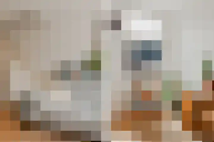 Tweede Jan van der Heijdenstraat 45 3 Amsterdam thumbnail 9