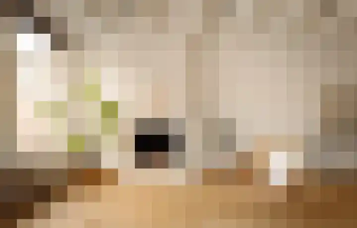 Tweede Jan van der Heijdenstraat 5 1 Amsterdam thumbnail 6