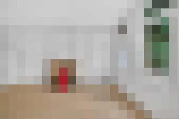 Tweede Jan van der Heijdenstraat 53 1 Amsterdam thumbnail 11