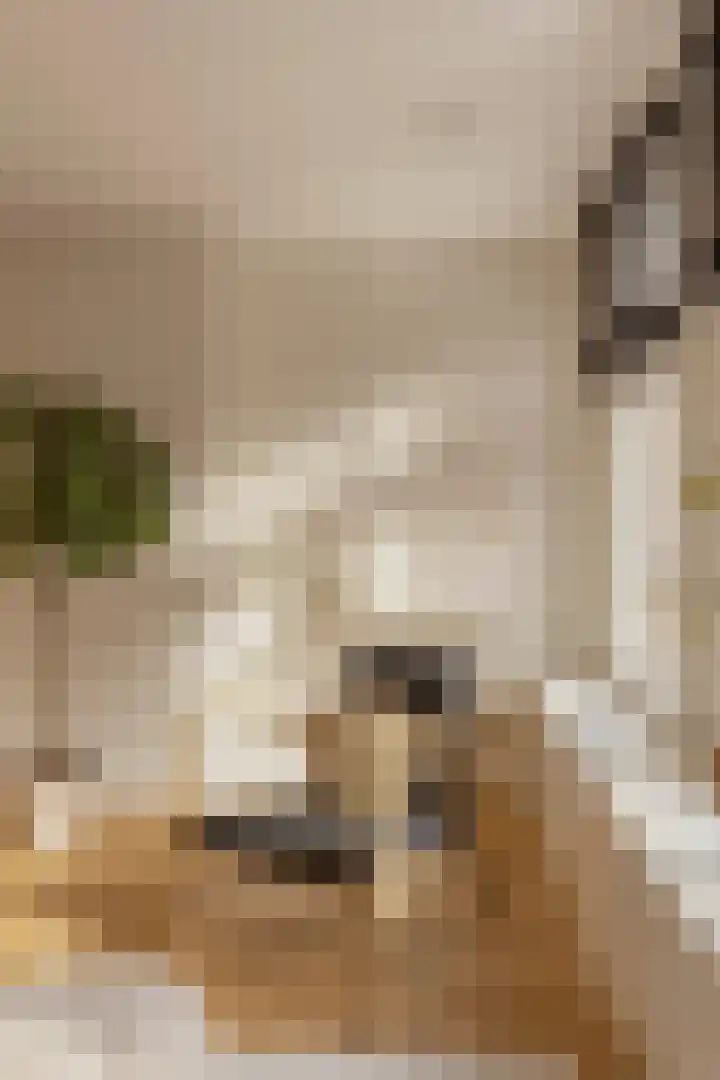 Tweede Jan van der Heijdenstraat 55 1 Amsterdam thumbnail 10