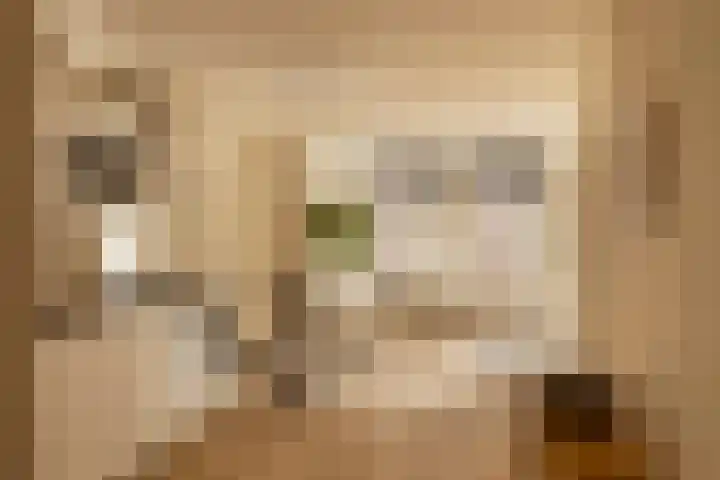 Tweede Jan van der Heijdenstraat 55 1 Amsterdam thumbnail 8