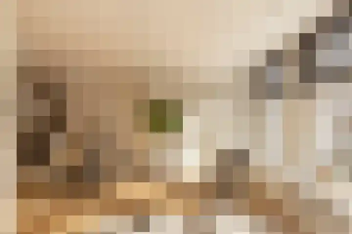 Tweede Jan van der Heijdenstraat 55 1 Amsterdam thumbnail 9