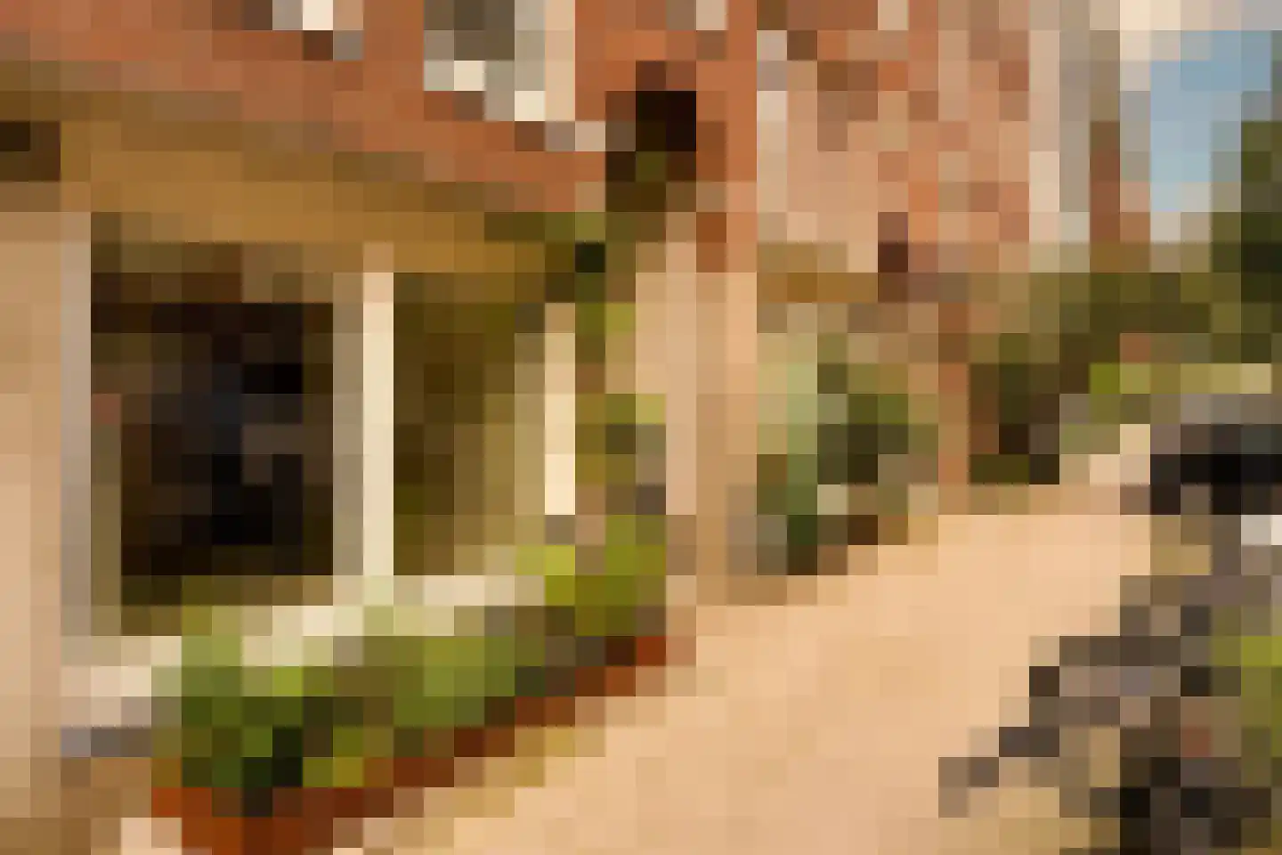 Tweede Jan van der Heijdenstraat 57 H Amsterdam thumbnail 10