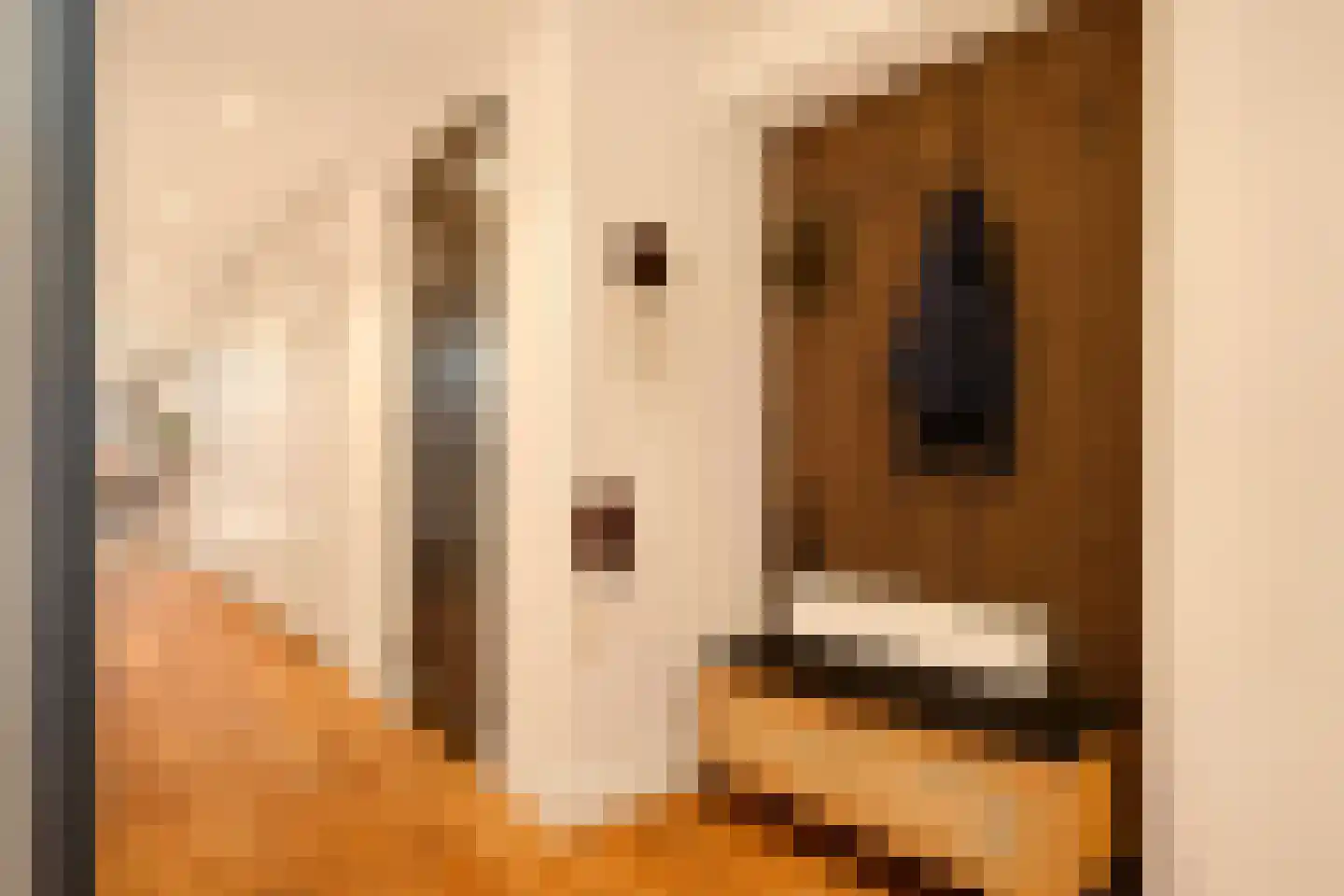 Tweede Jan van der Heijdenstraat 57 H Amsterdam thumbnail 11