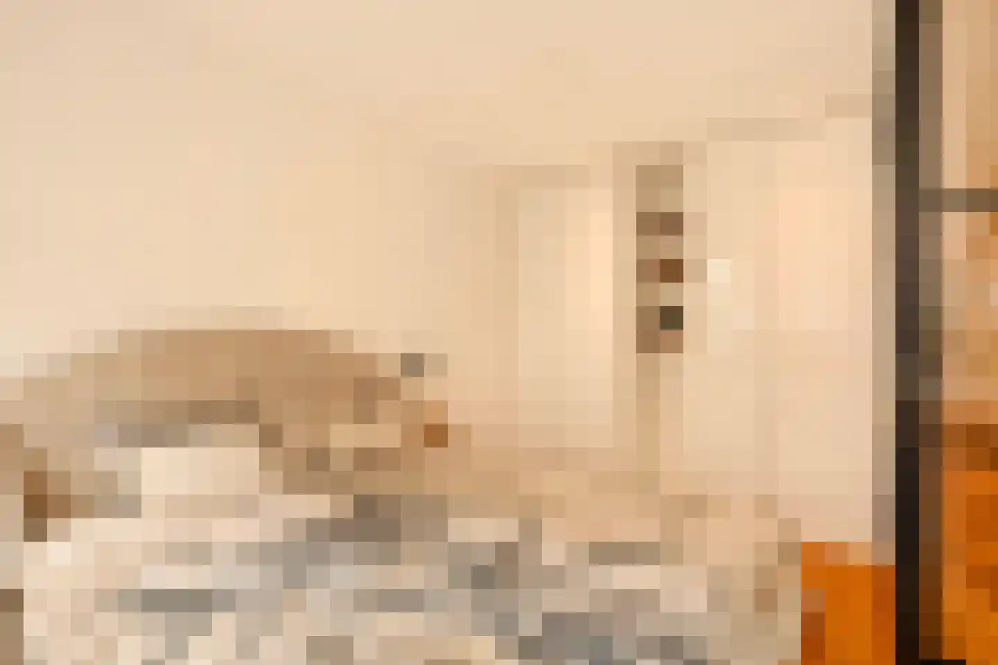 Tweede Jan van der Heijdenstraat 57 H Amsterdam thumbnail 15