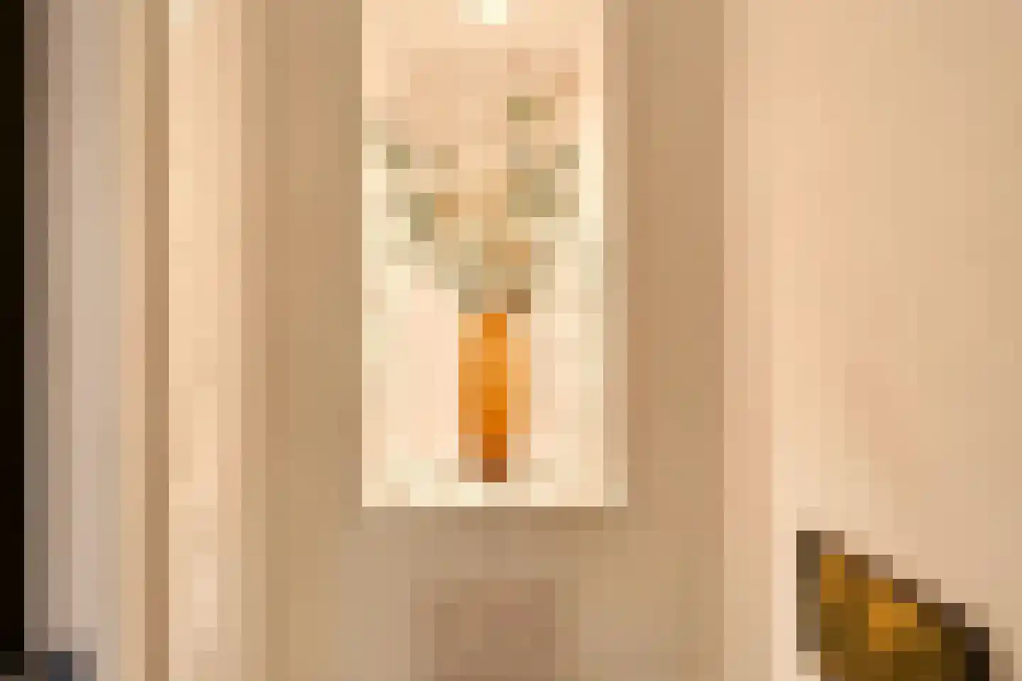 Tweede Jan van der Heijdenstraat 57 H Amsterdam thumbnail 18