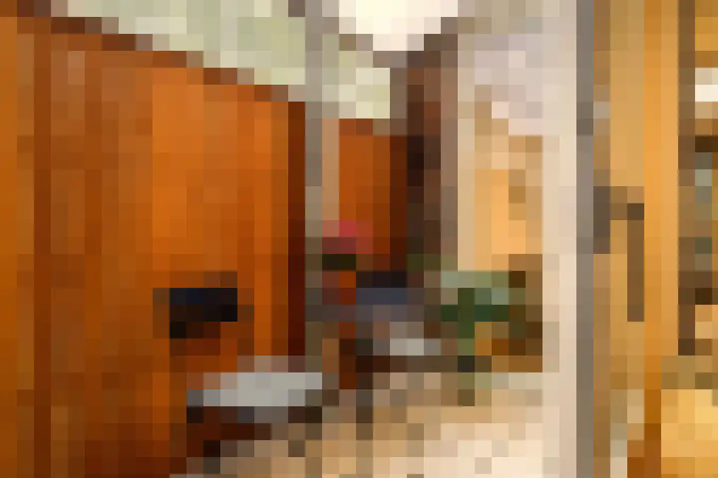 Tweede Jan van der Heijdenstraat 57 H Amsterdam thumbnail 27