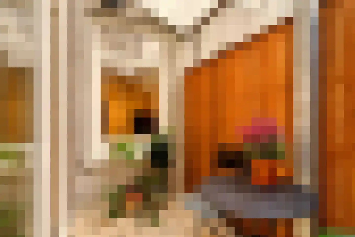 Tweede Jan van der Heijdenstraat 57 H Amsterdam thumbnail 28