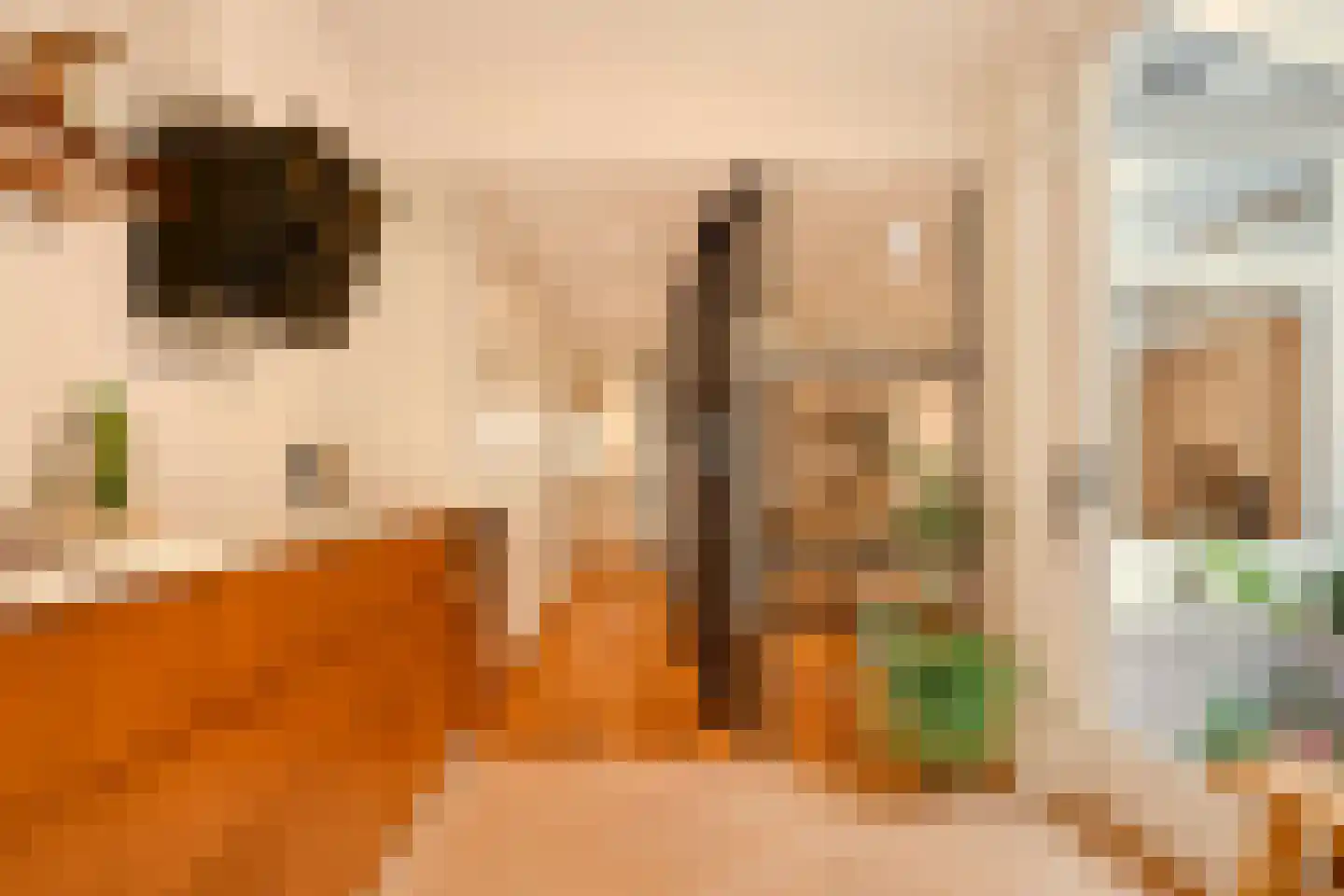Tweede Jan van der Heijdenstraat 57 H Amsterdam thumbnail 29