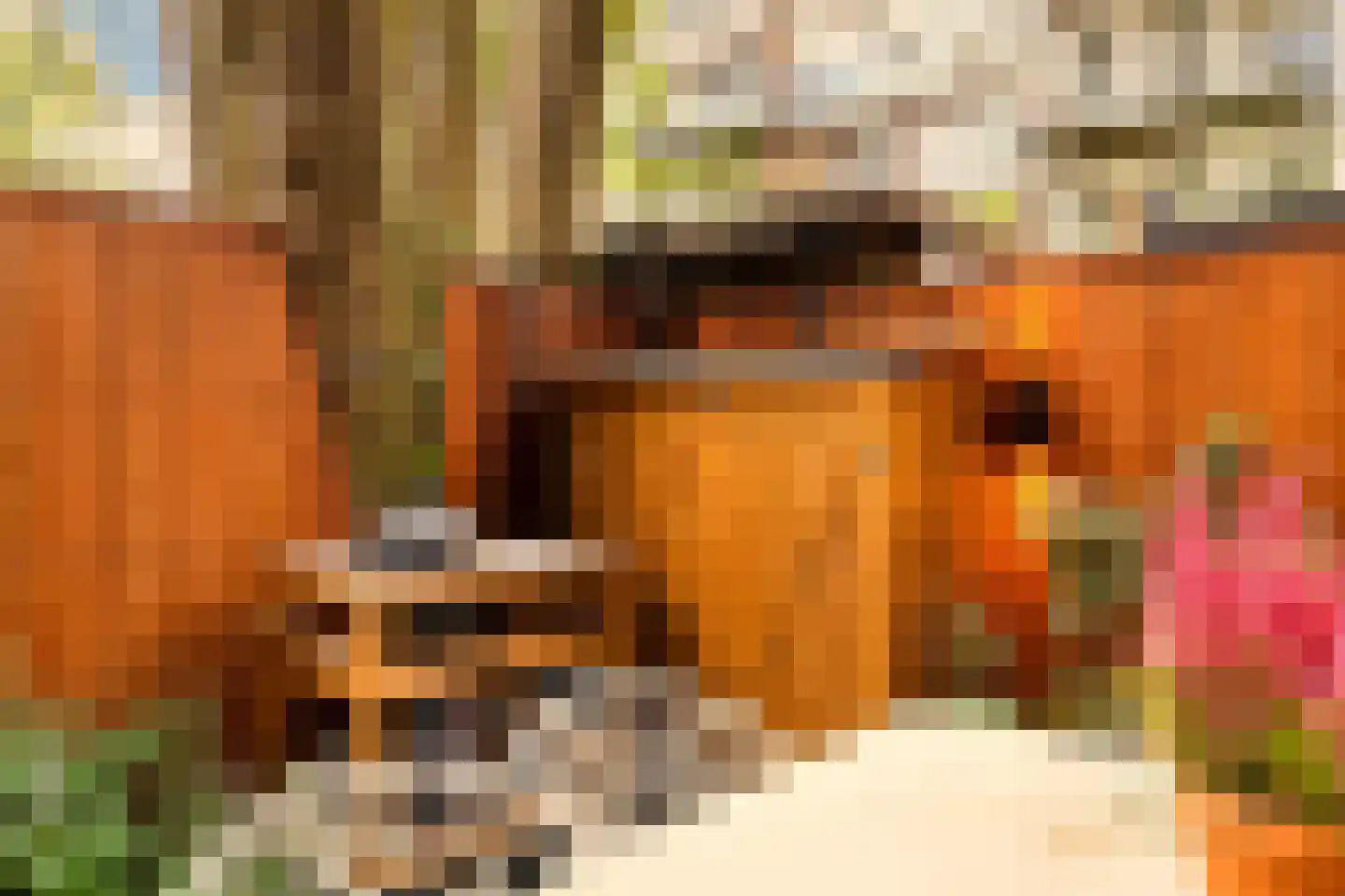 Tweede Jan van der Heijdenstraat 57 H Amsterdam thumbnail 39