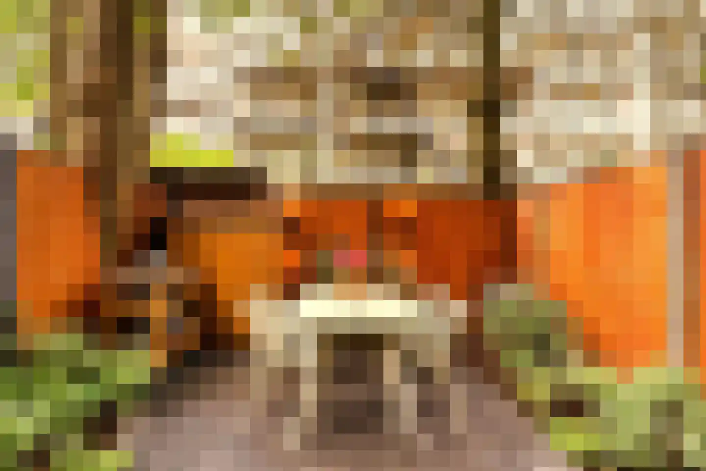 Tweede Jan van der Heijdenstraat 57 H Amsterdam thumbnail 42