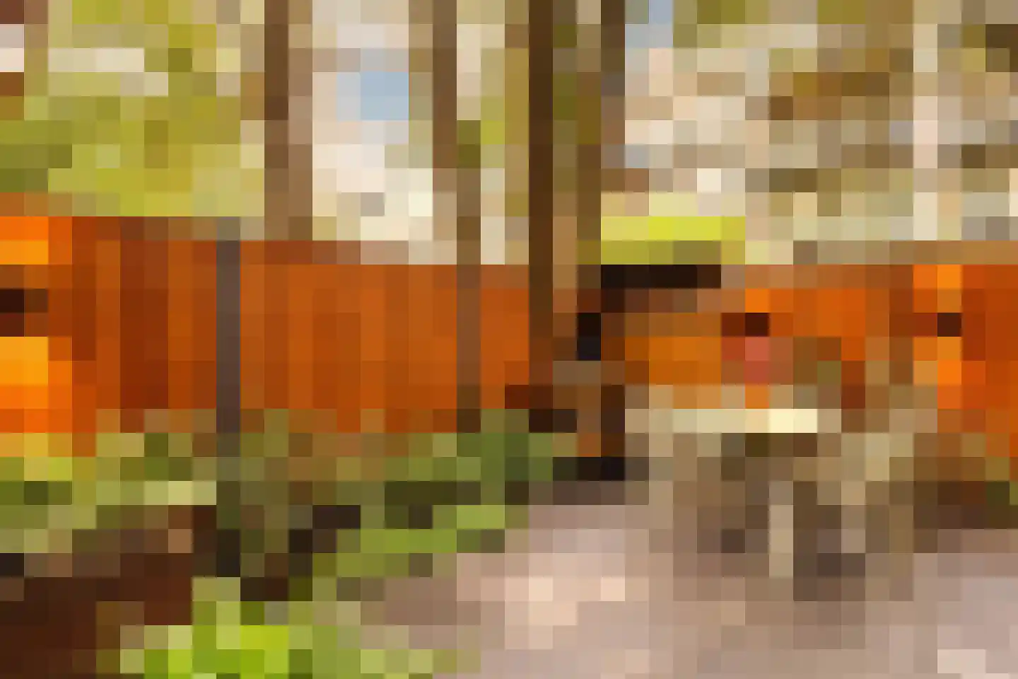 Tweede Jan van der Heijdenstraat 57 H Amsterdam thumbnail 43
