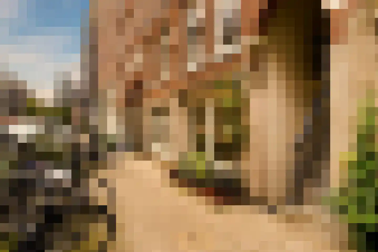 Tweede Jan van der Heijdenstraat 57 H Amsterdam thumbnail 44