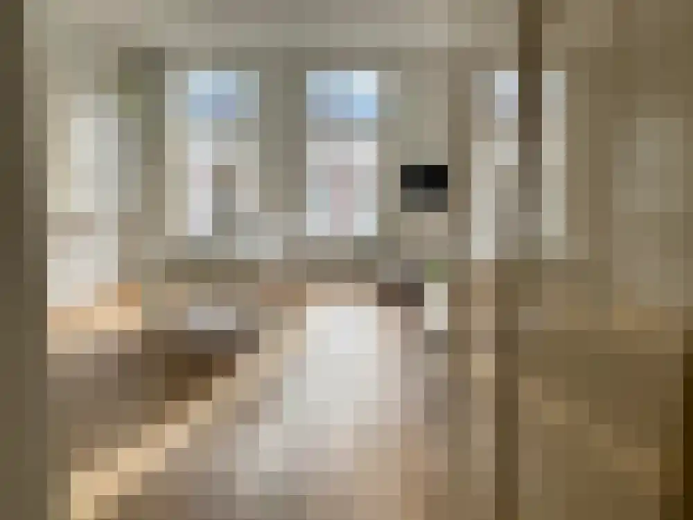 Tweede Jan van der Heijdenstraat 87 Amsterdam thumbnail 11