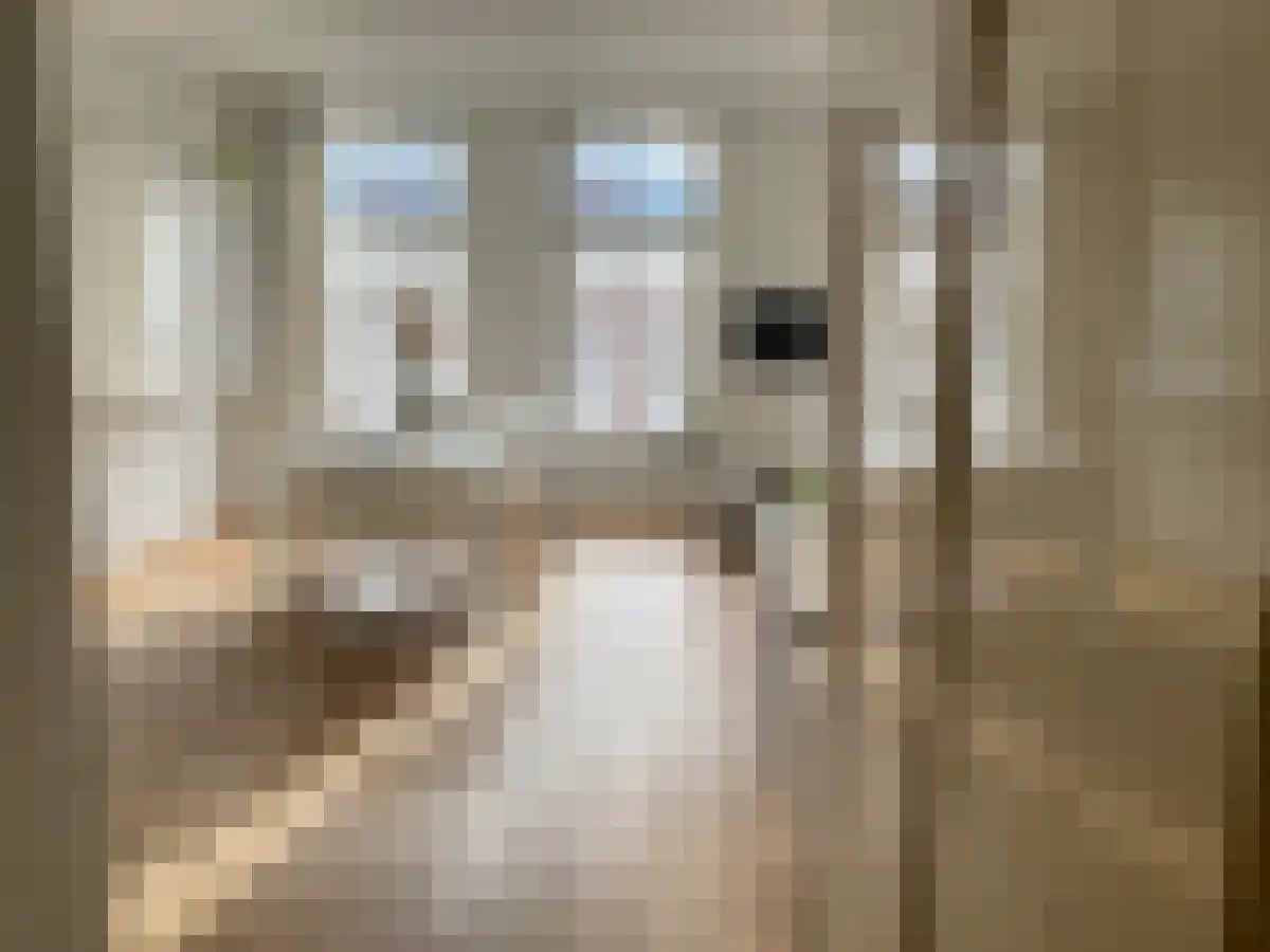 Tweede Jan van der Heijdenstraat 87 Amsterdam thumbnail 4