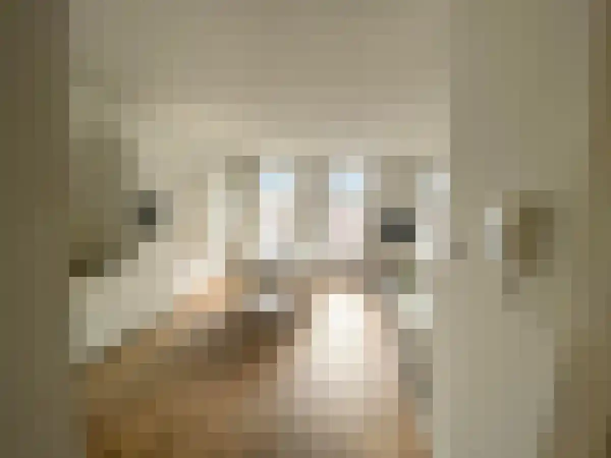 Tweede Jan van der Heijdenstraat 87 Amsterdam thumbnail 5