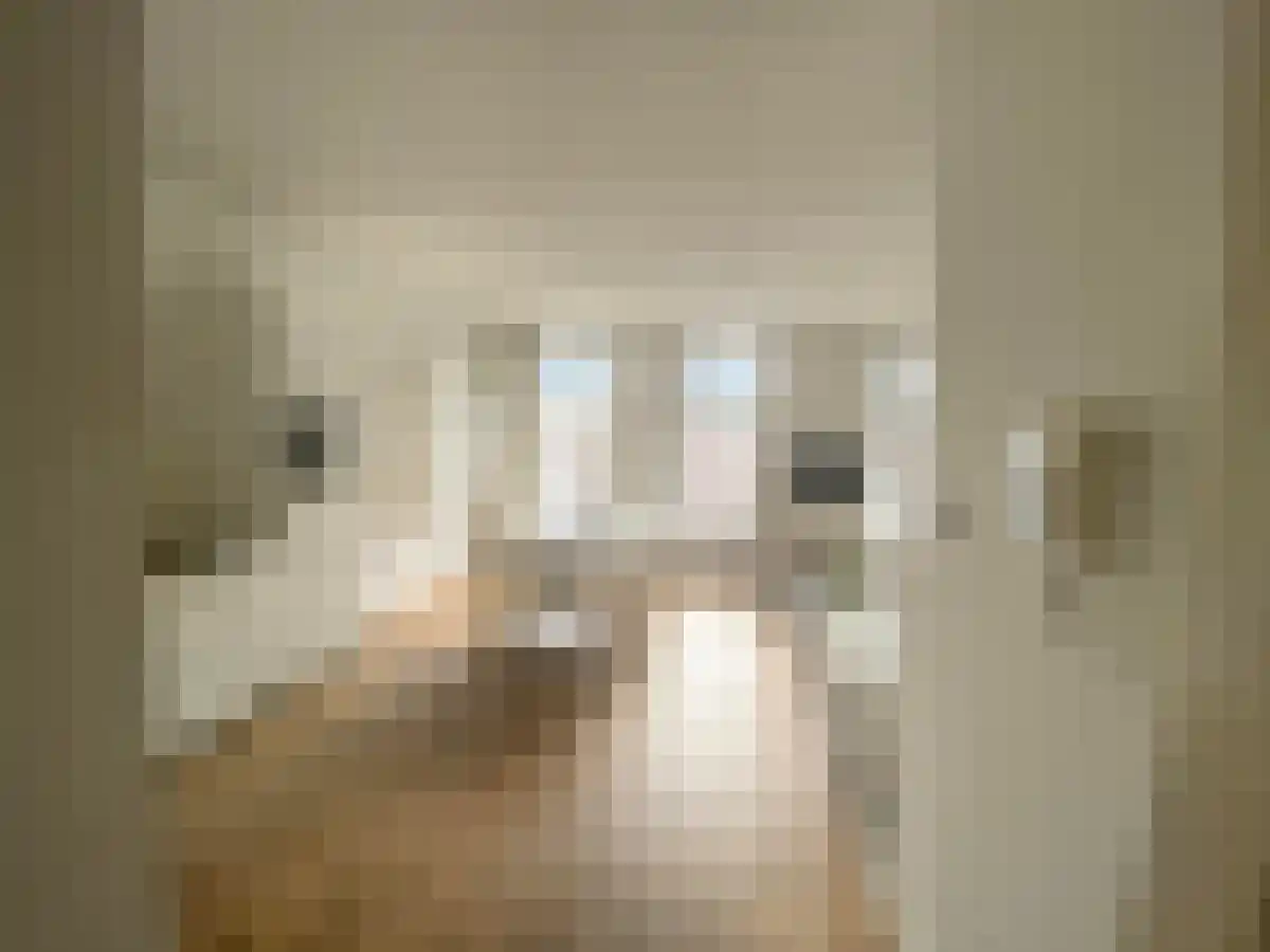 Tweede Jan van der Heijdenstraat 87 Amsterdam thumbnail 5