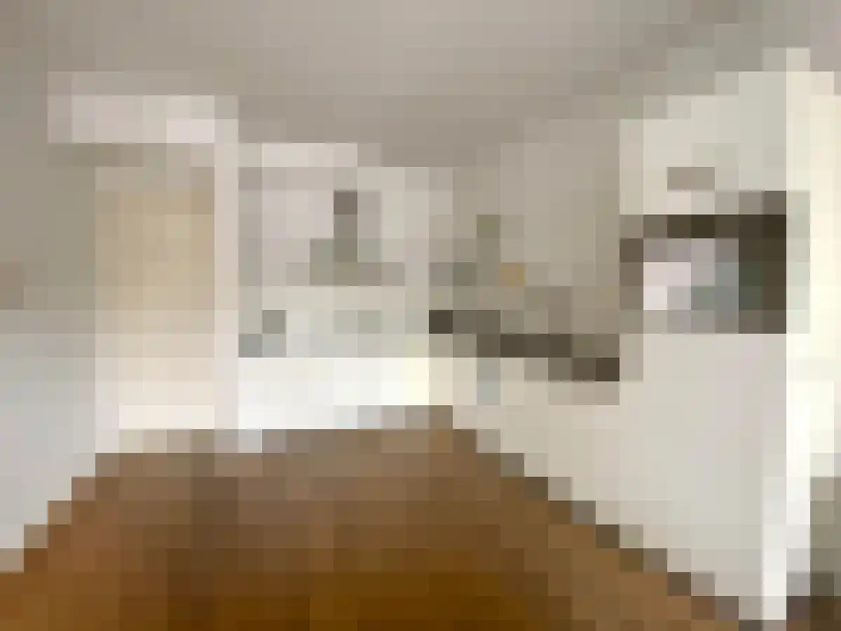 Tweede Jan van der Heijdenstraat 87 Amsterdam thumbnail 6