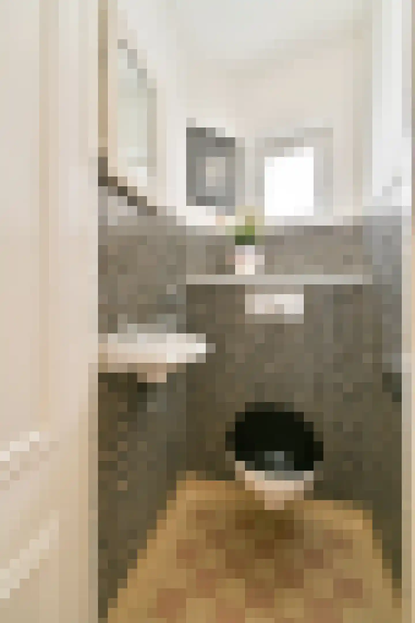 Tweede Jan van der Heijdenstraat 88 1 Amsterdam thumbnail 18