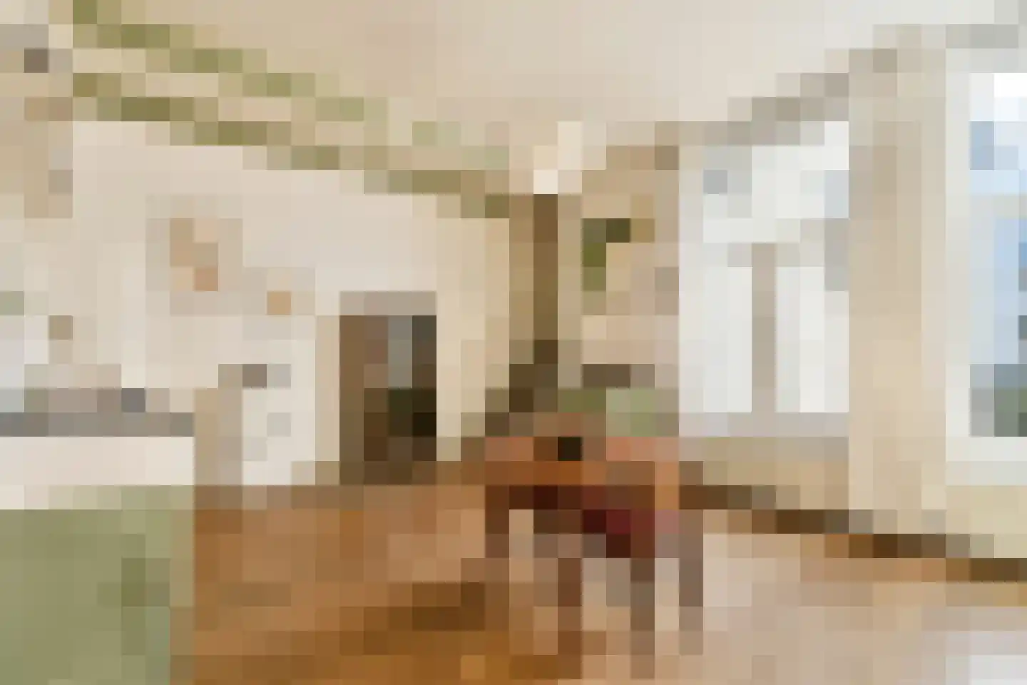 Tweede Jan van der Heijdenstraat 88 1 Amsterdam thumbnail 5