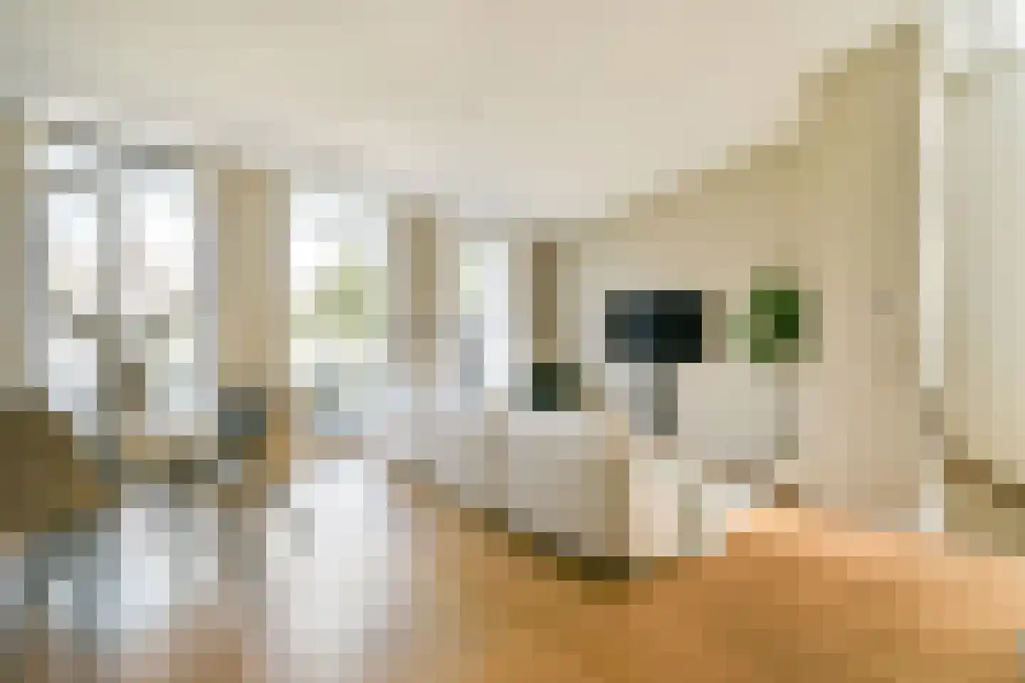 Tweede Jan van der Heijdenstraat 89 E Amsterdam thumbnail 9