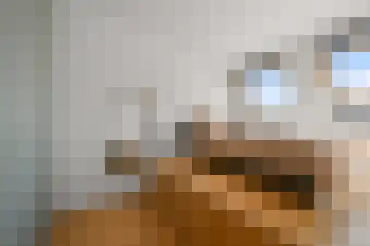 Tweede Jan van der Heijdenstraat 91 D Amsterdam thumbnail 14