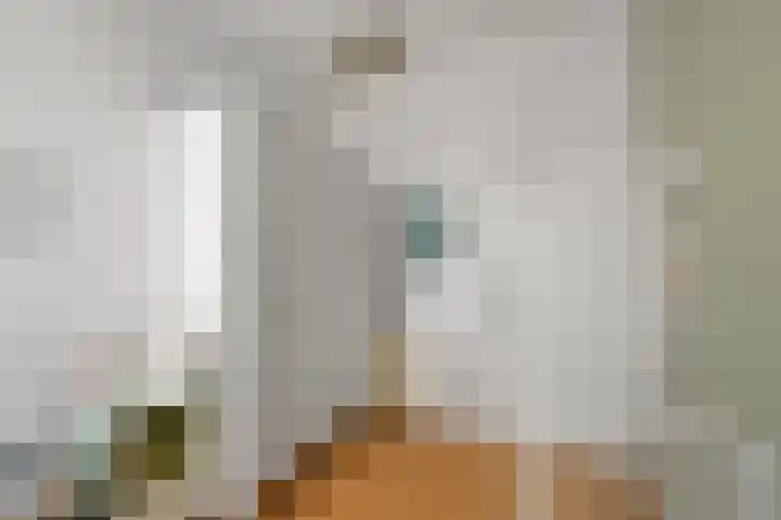 Tweede Jan van der Heijdenstraat 91 D Amsterdam thumbnail 19