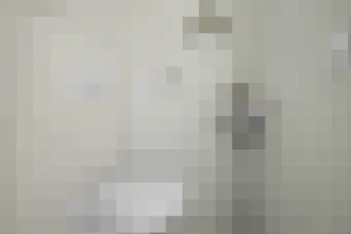 Tweede Jan van der Heijdenstraat 91 D Amsterdam thumbnail 23
