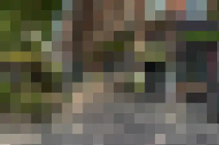 Tweede Jan van der Heijdenstraat 91 D Amsterdam thumbnail 32