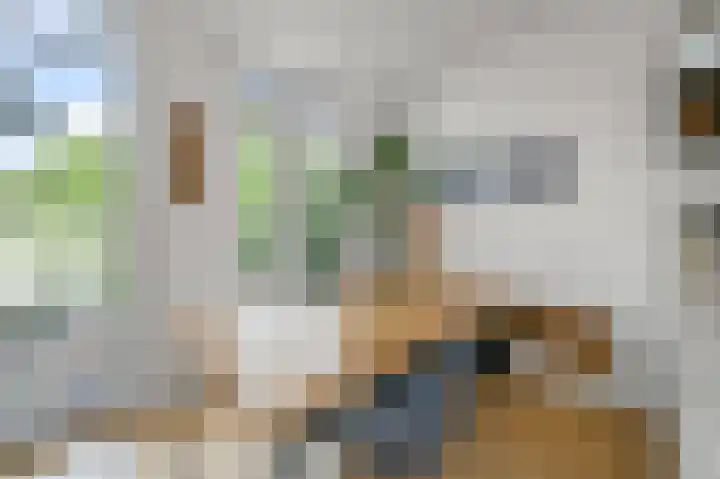 Tweede Jan van der Heijdenstraat 91 D Amsterdam thumbnail 9