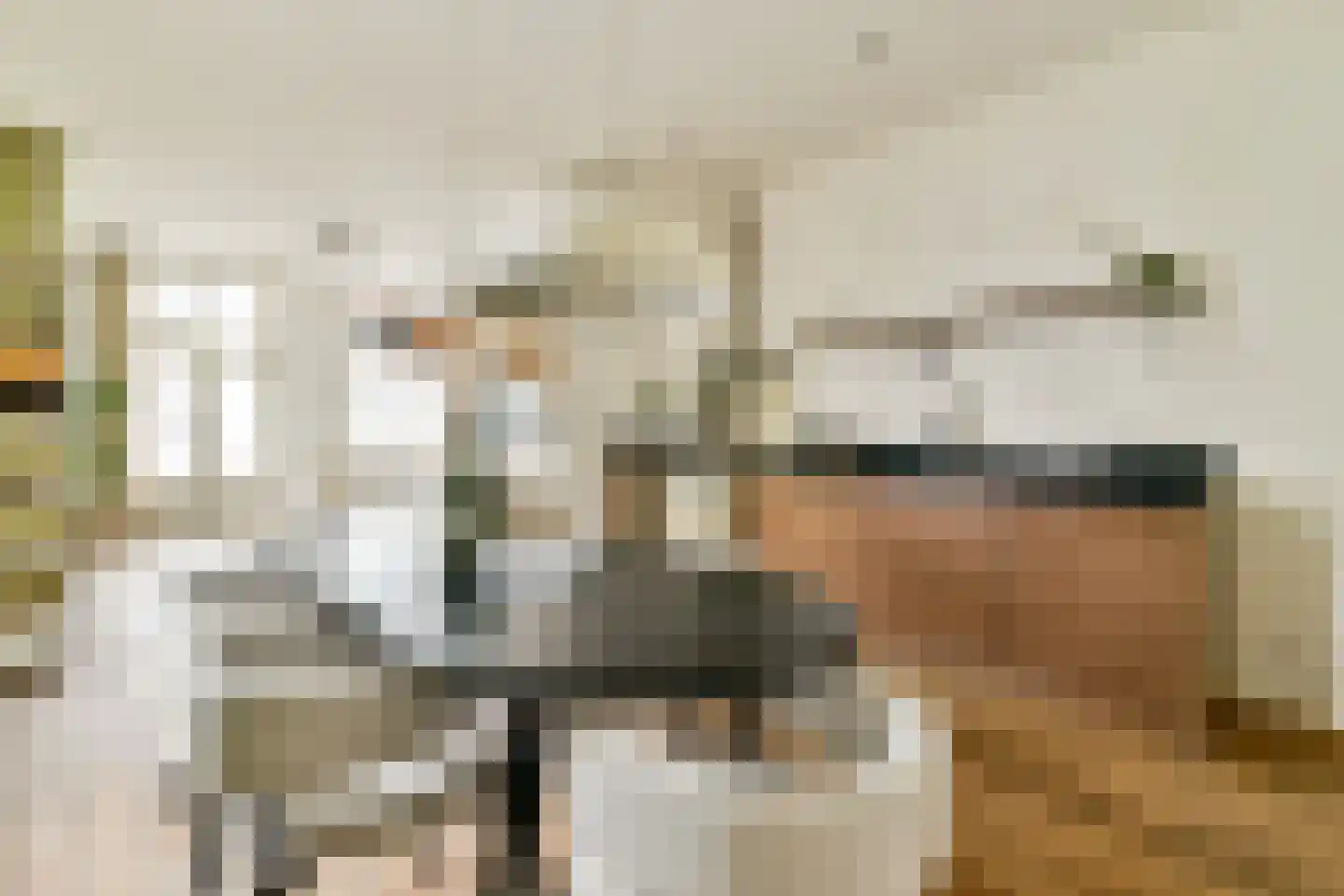 Tweede Jan van der Heijdenstraat 92 1 Amsterdam thumbnail 26