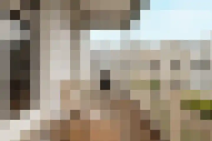 Tweede Jan van der Heijdenstraat 92 H Amsterdam thumbnail 5