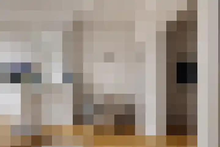 Tweede Jan van der Heijdenstraat 92 H Amsterdam thumbnail 8