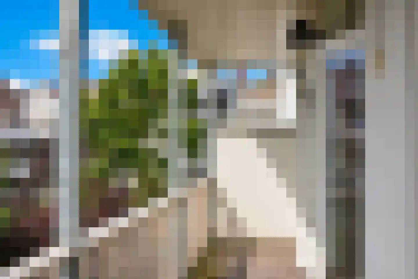 Tweede Jan van der Heijdenstraat 99 D Amsterdam thumbnail 22
